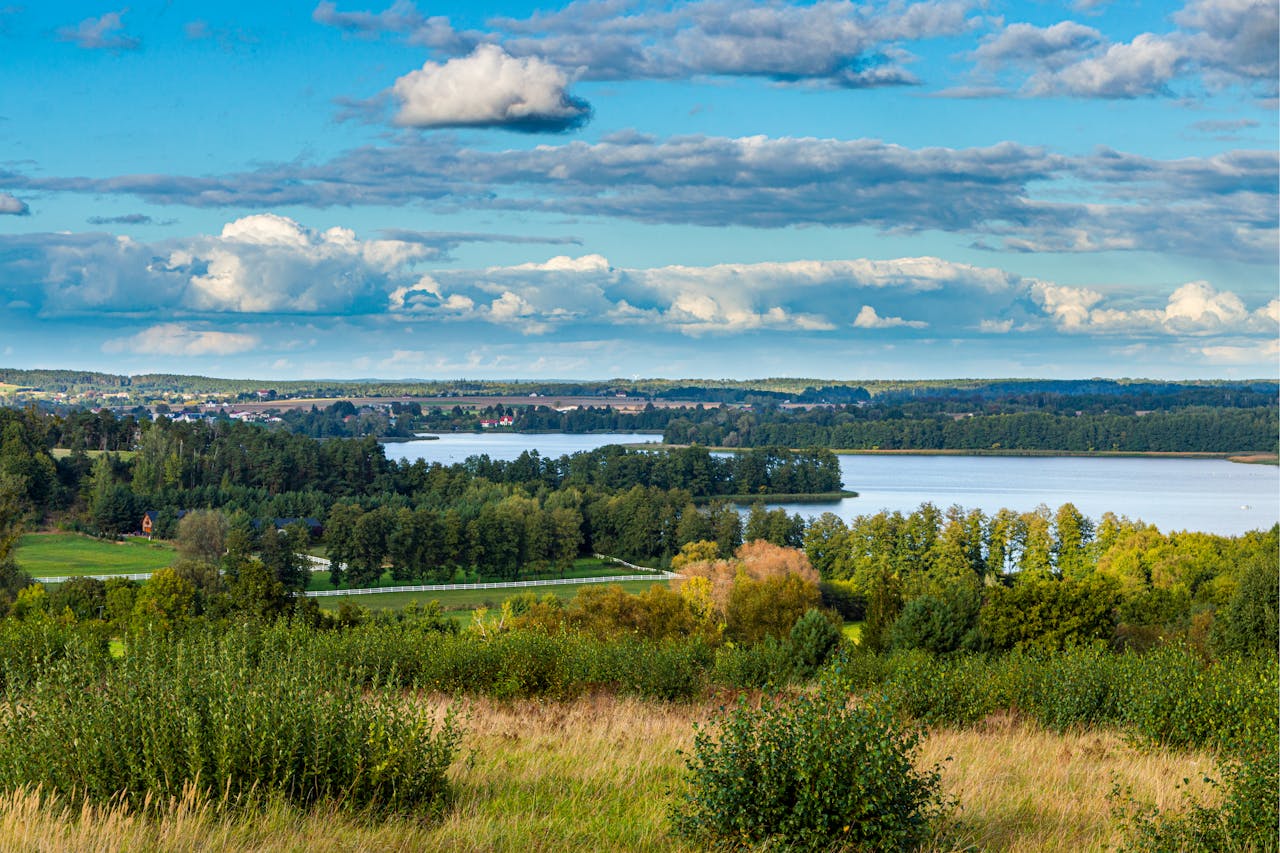 Picturesque view of the lake and lush greenery in Łężeczki, Poland.